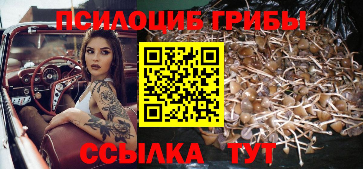 Псилоцибиновые грибы мухоморы Обнинск