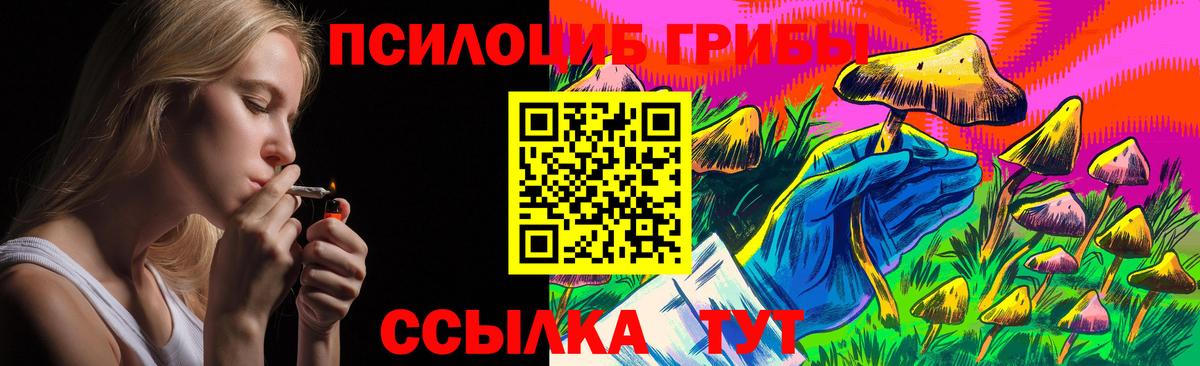 Псилоцибиновые грибы GOLDEN TEACHER  Вход с VPN  Псилоцибиновые грибы прущие грибы  Обнинск 